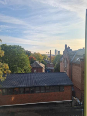 Private room in to roomsapartment (Grunneløkka)